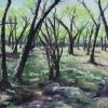 Albuquerque Trees  18x12  sold