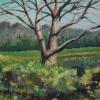 The Buttonwood  12x12  available